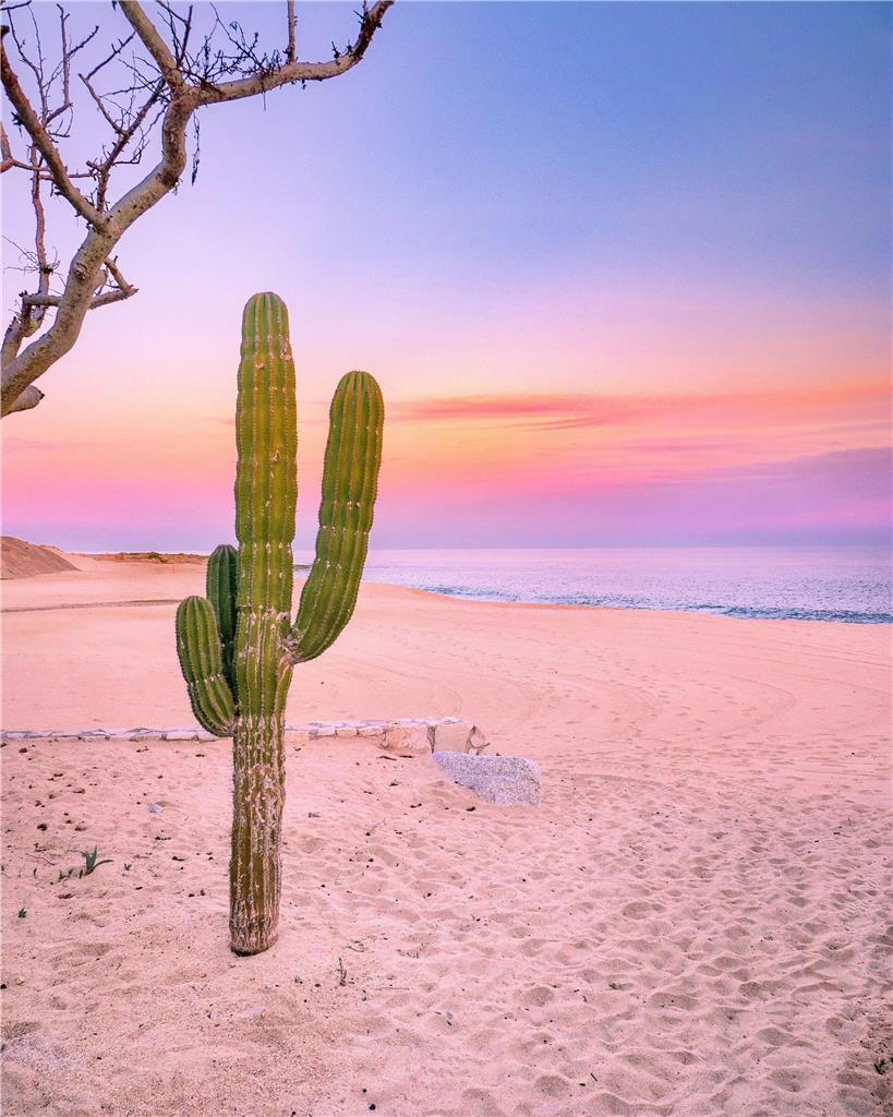 Park Hyatt Los Cabos At Cabo Del Sol カボ・サン・ルーカス エクステリア 写真
